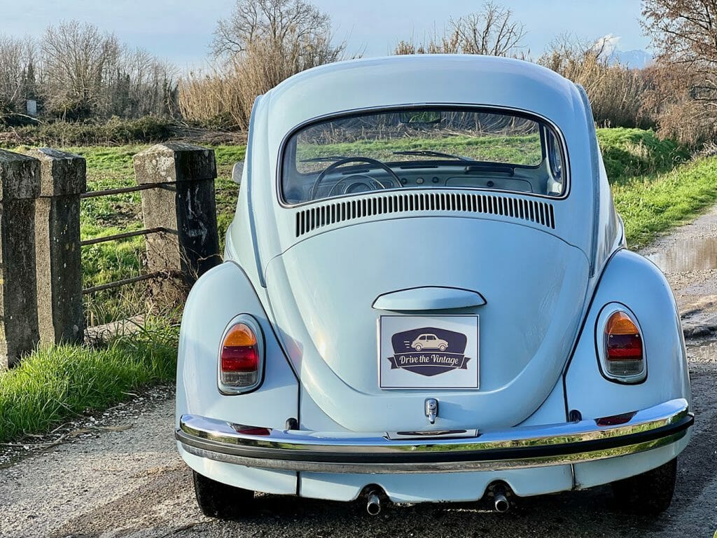 Classic Beetle